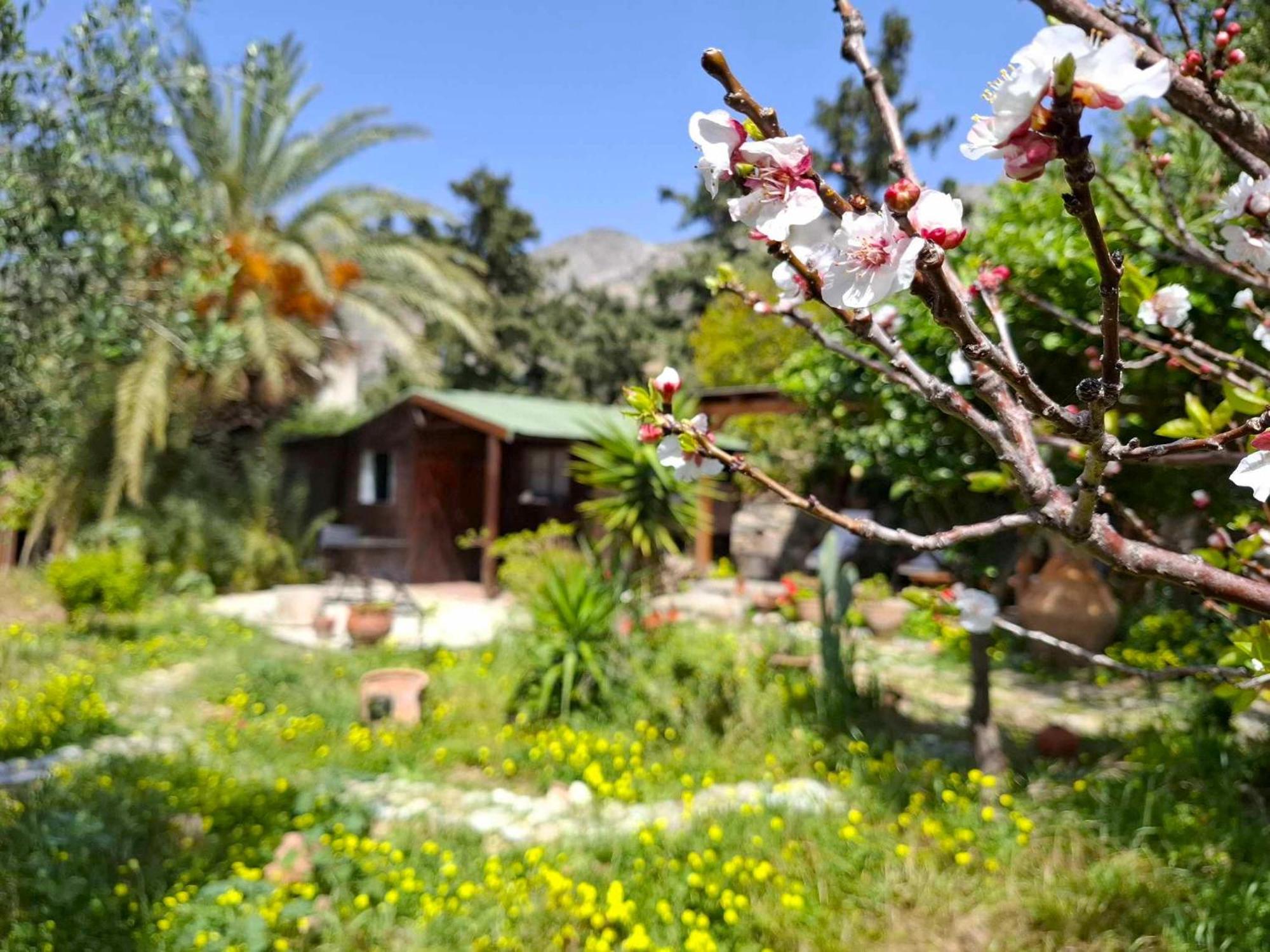 Levantes Garden House - Keratókambos Eksteriør billede